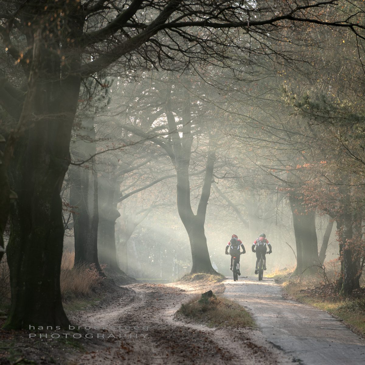 Bikes in the mist