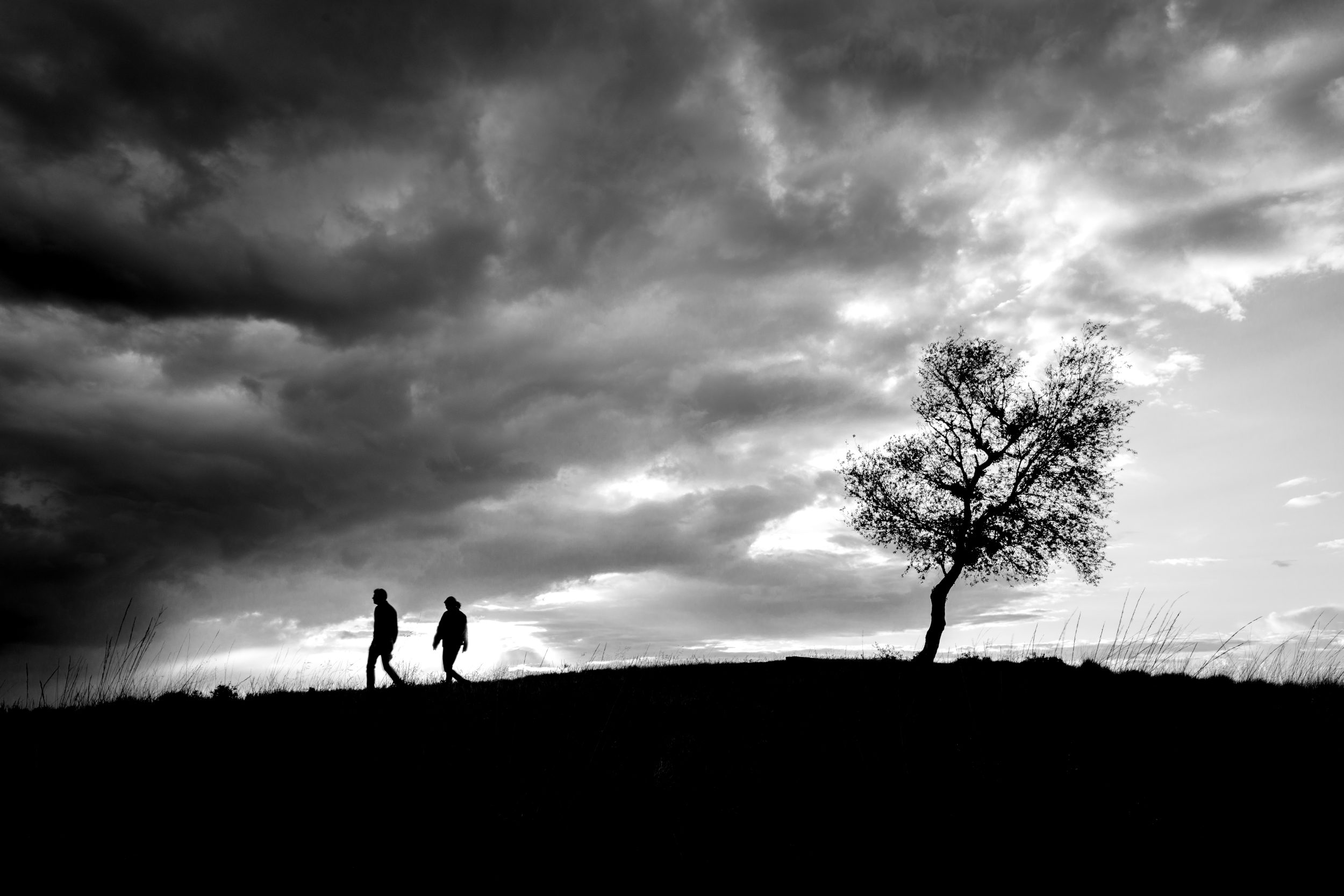 Sometimes, the most powerful elements in photography are born from pure serendipity. While I was busy capturing the dramatic, churning sky behind one of my favourite local trees at sunset, these two figures walked into the frame. I waited for the precise second they crossed between the setting sun and my lens, transforming them into sharp silhouetted anchors. Their presence not only heightens the story within the landscape but lends a striking sense of scale to the solitary tree.