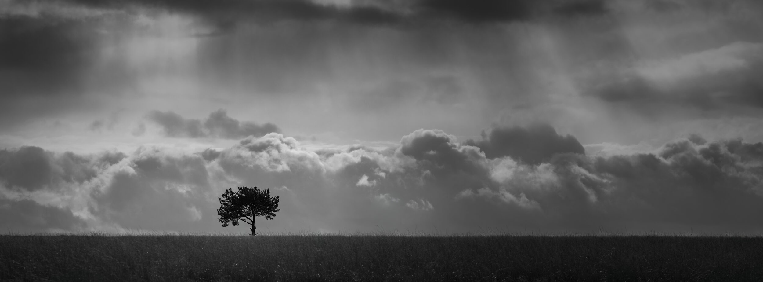 This lone tree is just.....well....a lone tree in the landscape. But when the sky, clouds, and light team up, bam! Suddenly, it's a killer photo moment. 😁