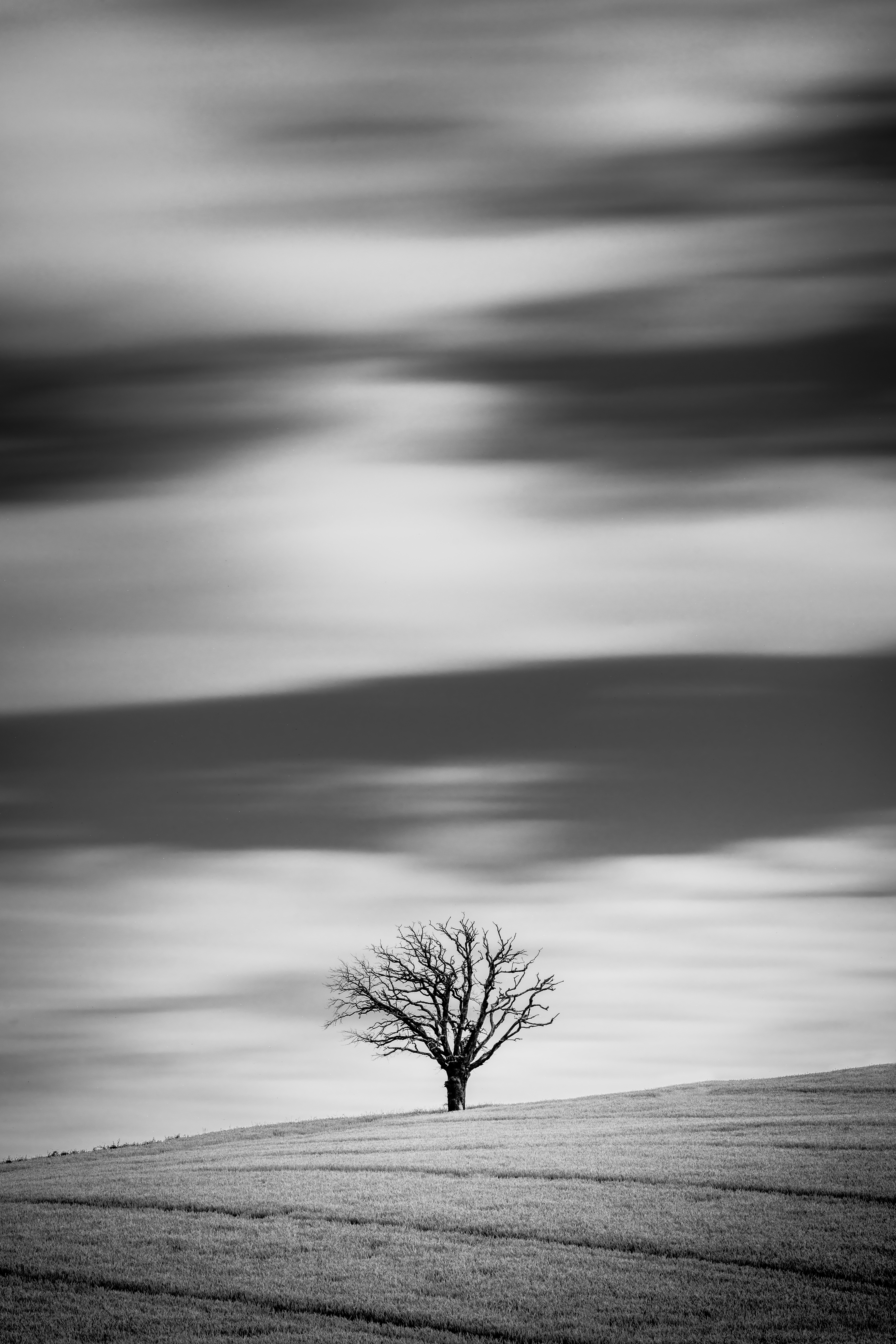 Lone tree, long exposure