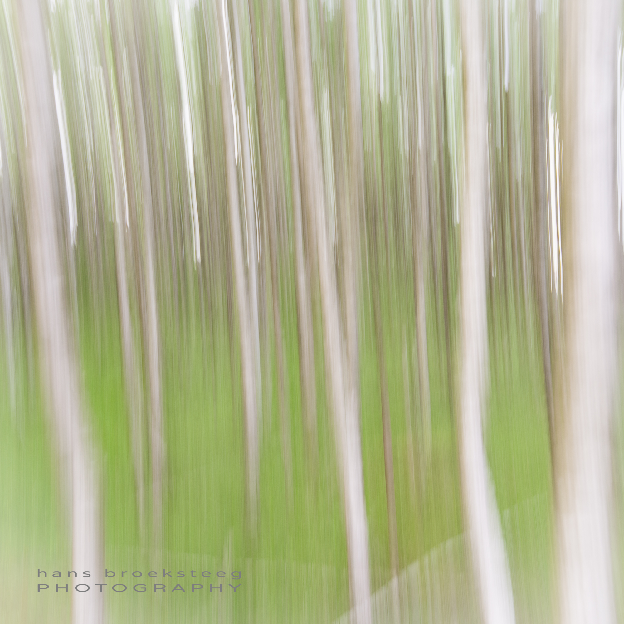 Trees in motion